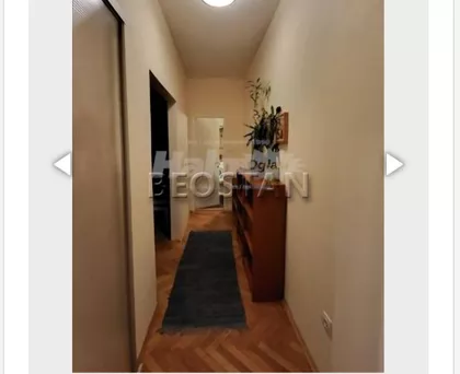 Milana Uzelca | 4zida.rs