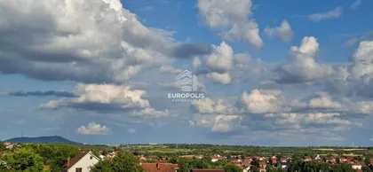 Učitelja Mihailovića | 4zida.rs