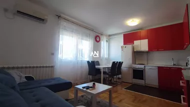 Janićija Živanovića