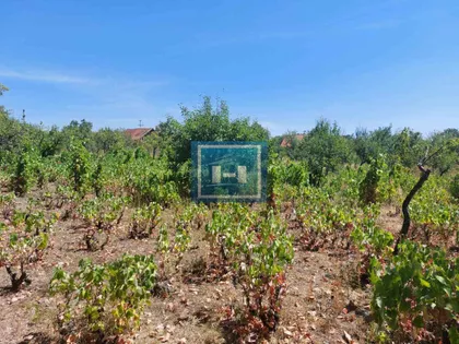 Karađorđevo Brdo | 4zida.rs