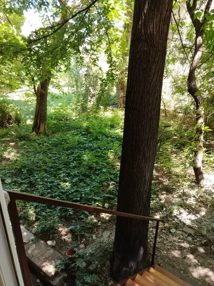 Cetinjska | 4zida.rs