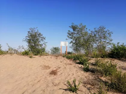 Srpski Šor | 4zida.rs