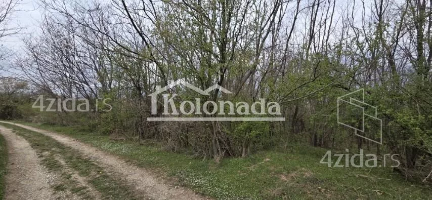 Poljoprivredno zemljište | 4zida