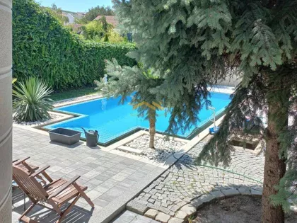Salajka | 4zida.rs