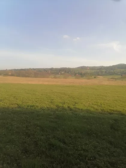 Tarska | 4zida.rs