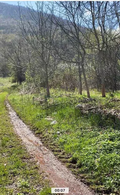 Ilino Boljevac | 4zida.rs