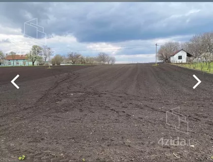 Međunarodni Put | 4zida.rs