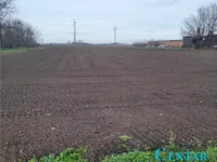 Čenej, Okolne lokacije, Novi Sad | 4zida.rs