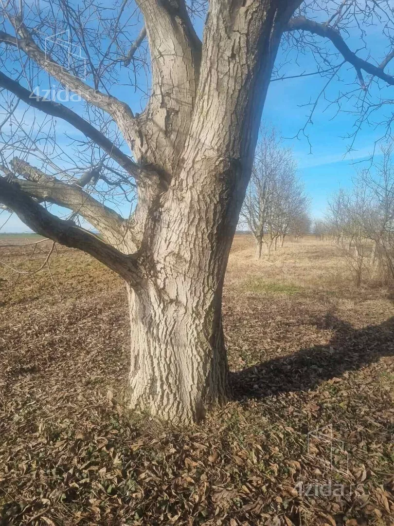 Poljoprivredno zemljište | 4zida