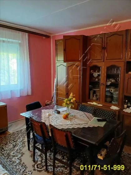 Jabučki rit | 4zida.rs