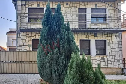 Zdravka Jekića | 4zida.rs