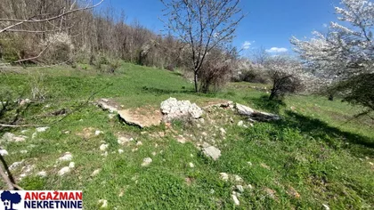 Krivi Vir | 4zida.rs