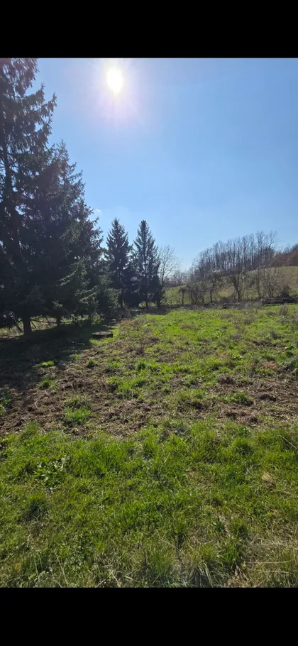 Despota Stefana Lazarevića 90 | 4zida.rs