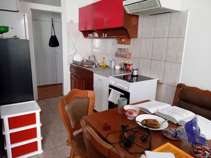 Dr Ivana Ribara | 4zida.rs