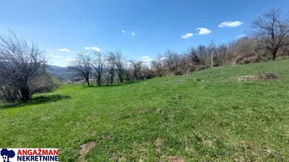 Krivi Vir | 4zida.rs