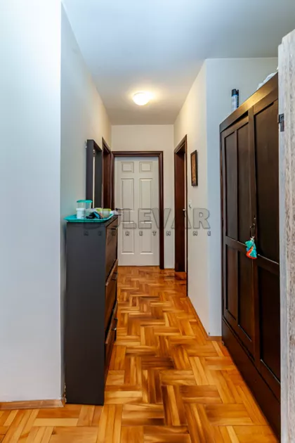 Hajduk Veljkova | 4zida.rs