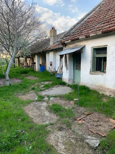 Taraš | 4zida.rs