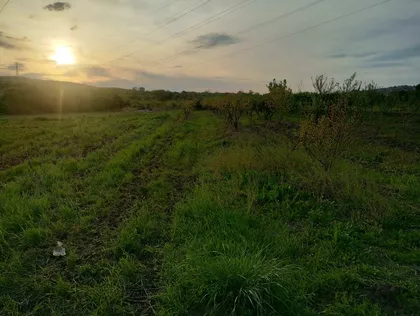 Leštane | 4zida.rs