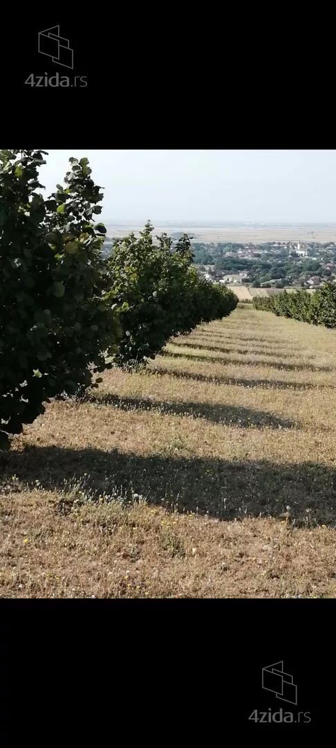Poljoprivredno zemljište | 4zida