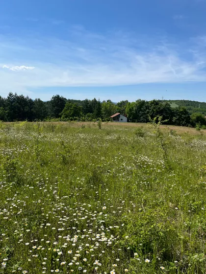 Drača | 4zida.rs