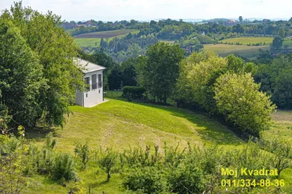 Milosava Vlajića | 4zida.rs