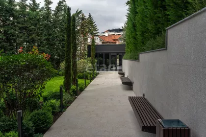 Miće Orlovića | 4zida.rs