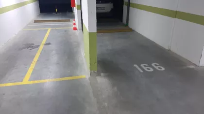 Rotkvarija | 4zida.rs