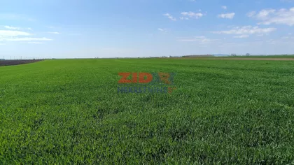Stari Banovci | 4zida.rs
