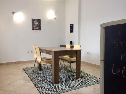 Novi Sad - Centar | 4zida.rs