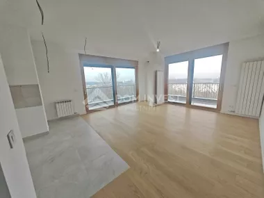 Partizanske avijacije