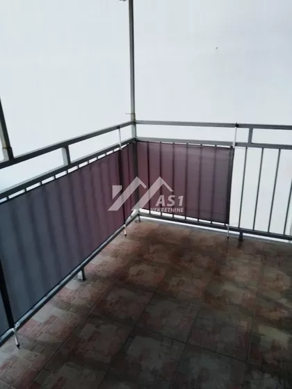 Jovana Popovića | 4zida.rs