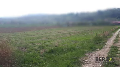 Sremska Kamenica | 4zida.rs