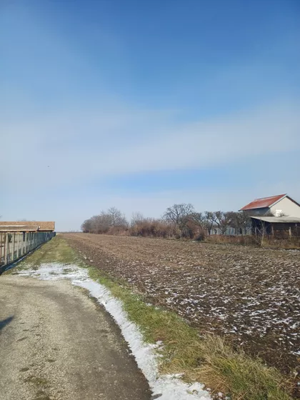 Bavaništanski Put | 4zida.rs