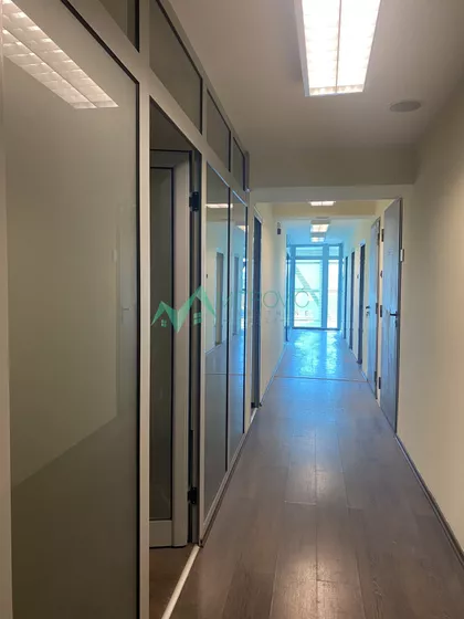 Salajka | 4zida.rs