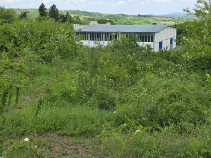 Varovničkih ratnika | 4zida.rs