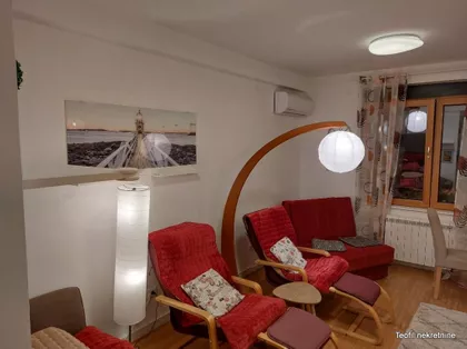 Vase Pelagića | 4zida.rs