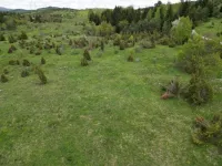 Plac | 4zida