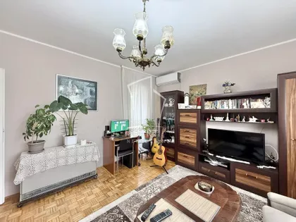 Jabučki rit | 4zida.rs