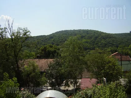 DEDINJE BELI DVOR | 4zida.rs