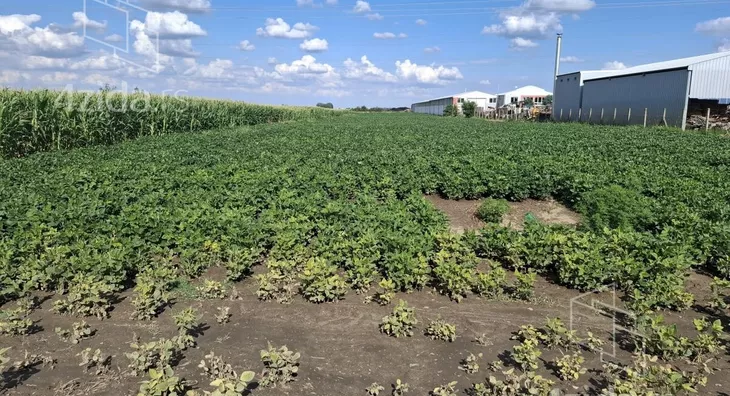 Poljoprivredno zemljište | 4zida