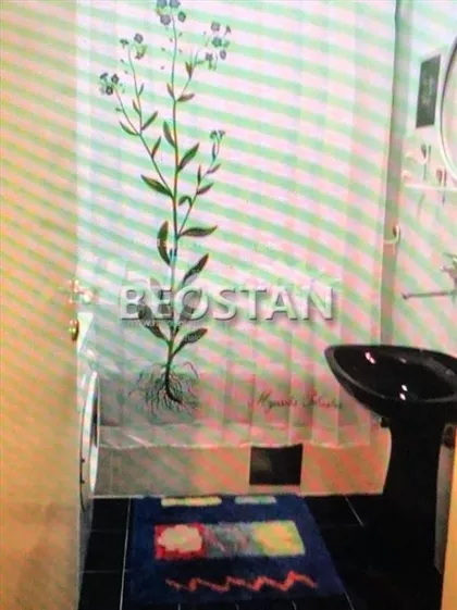 Kapetana Radiča Petrovića | 4zida.rs