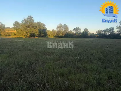 Veliki Borak | 4zida.rs