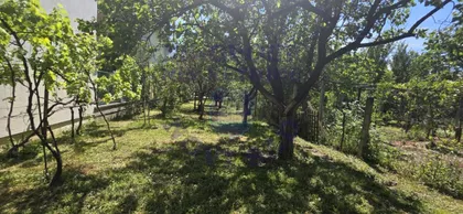 Južni Telep | 4zida.rs