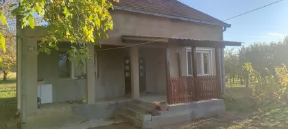 Vidovdanska | 4zida.rs