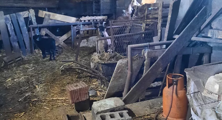 Poljoprivredno zemljište | 4zida