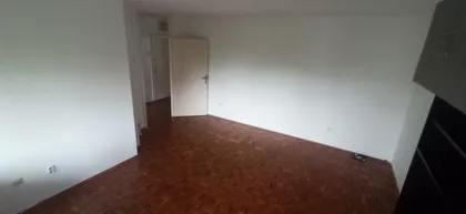 Dr Ivana Ribara | 4zida.rs