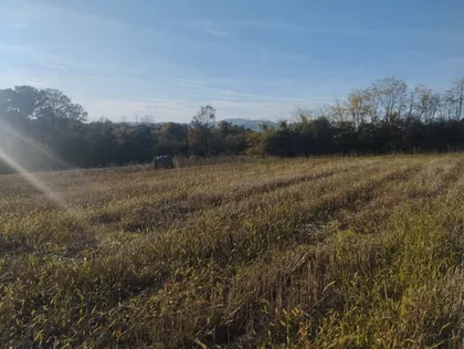 Blagojevica | 4zida.rs