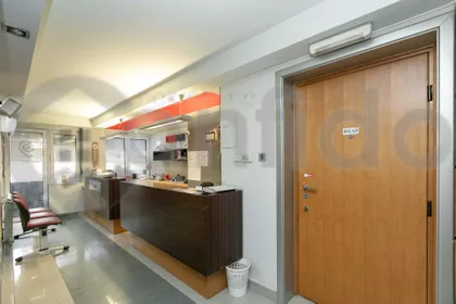 Kneginje Zorke | 4zida.rs