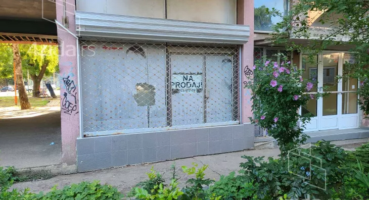 Lokal | 4zida
