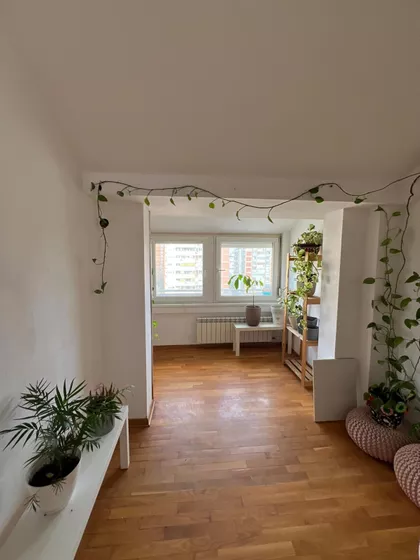 Dr Ivana Ribara | 4zida.rs